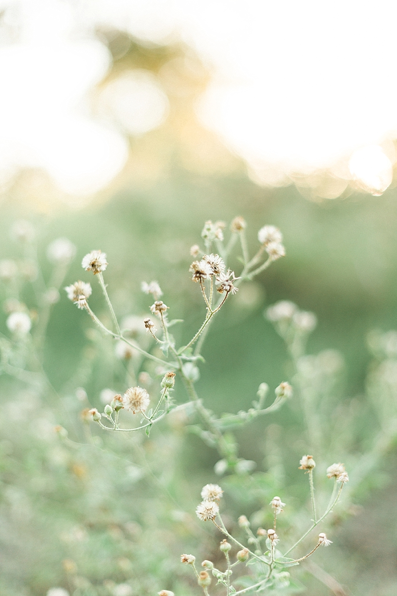 Callie Manion Photography | Dallas/Fort Worth Senior Photographer | www.calliemanionphotography.com