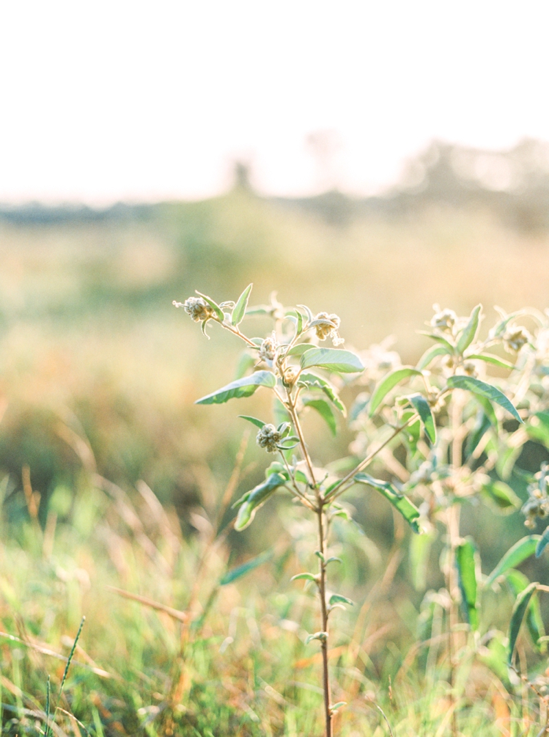 Outdoor Sunrise Boudoir, Fine Art Boudoir, Classy Boudoir, Fine Art Film Photographer Callie Manion | www.calliemanionphotography.com