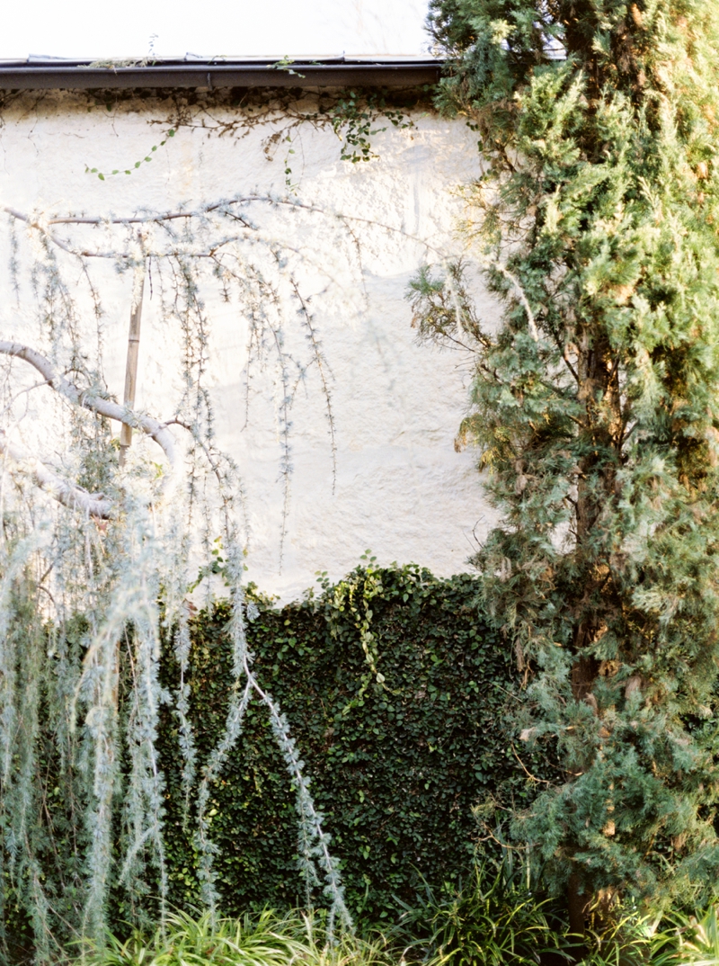 Salt Lake City Utah Fine Art Film Photographer | Callie Manion Photography | Destination Film Photographer | www.calliemanionphotography.com