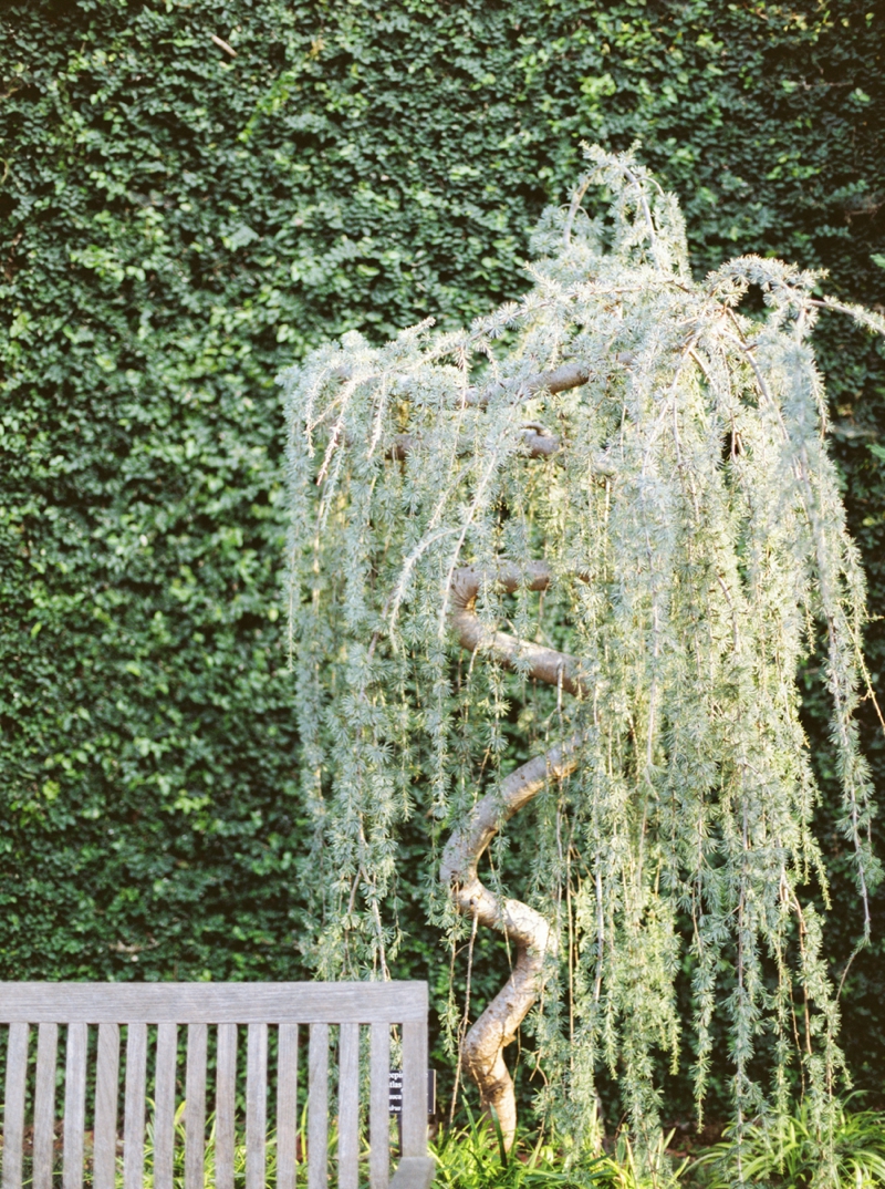 Salt Lake City Utah Fine Art Film Photographer | Callie Manion Photography | Destination Film Photographer | www.calliemanionphotography.com