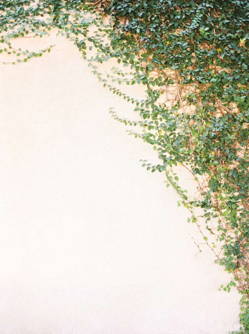 Salt Lake City Utah Fine Art Film Photographer | Callie Manion Photography | Destination Film Photographer | www.calliemanionphotography.com