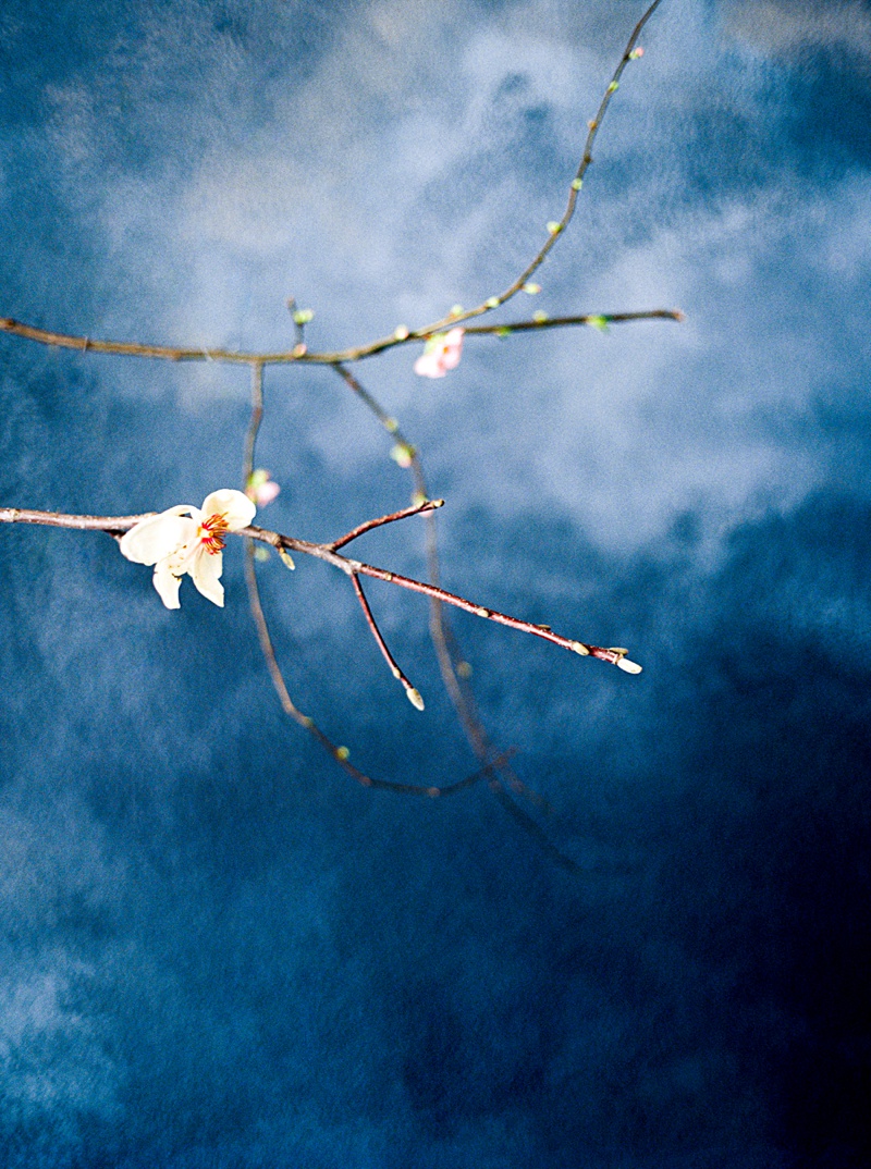 Callie Manion Photography | Dallas, Salt Lake City, New York City, & Destination Fine Art Film Wedding Photographer | www.calliemanionphotography.com