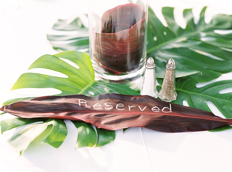 Dallas Film Wedding Photographer, Dallas Arboretum Summer Wedding, Tropical Garden Wedding, Callie Manion Photography