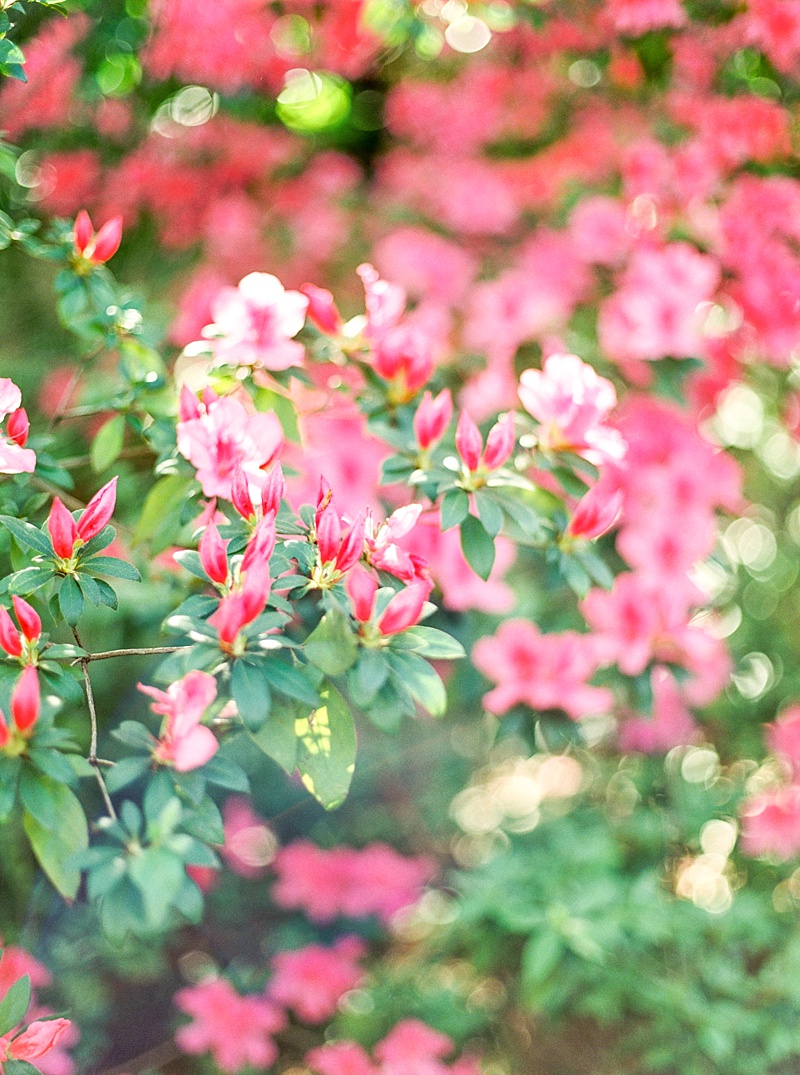 Callie Manion Photography_Beautiful Garden Engagement Session_0015.jpg