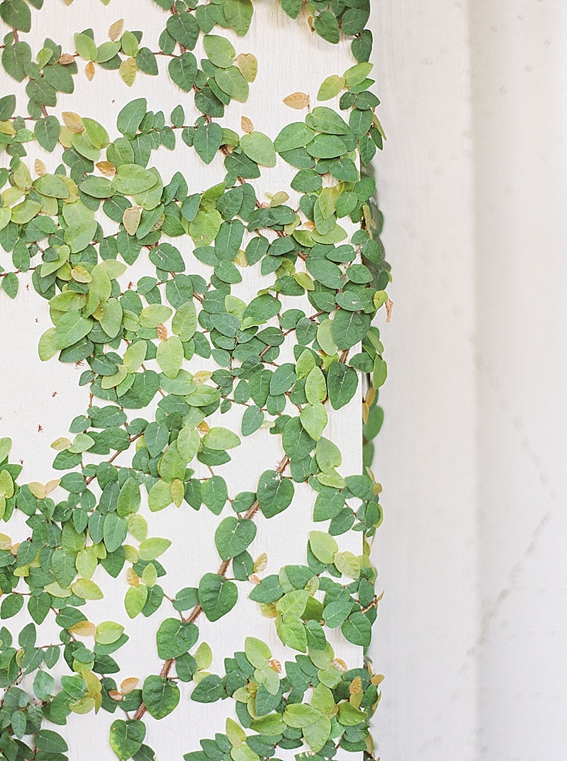 Callie Manion Photography, Fine Art Wedding, Fine Art Wedding Photography, Fine Art Bride, Fine Art Wedding Photographer, Bride, Beauty, Love, Fuji400h, Film Photographer, Film Photography, Film Wedding Photographer, allas Film Wedding Photographer, Dallas TX Wedding Venues, Destination Film Wedding Photographer, DFW Film Wedding Photographer, DFW Wedding Photographer, Film, Texas Wedding Photographer, Texas Bride, Callie Manion, PhotoVision Prints, Amanda Watson Workshops, Christina Leigh Events, Bramble & Bee, The Foundry, Posh Couture Rentals, A Fine Flourish, BHLDN, Butter Artistry, Petals & Stones, Amulette Jewelry, Ouisie’s Table