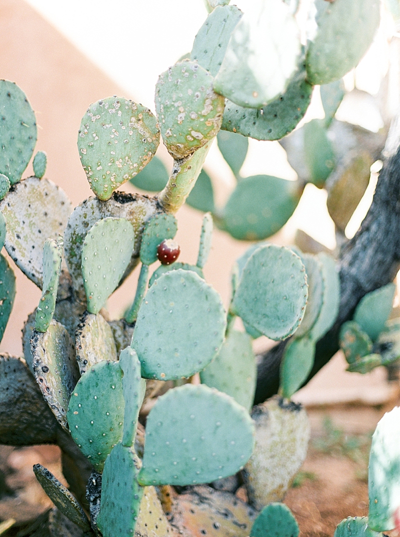  Callie Manion Photography, Dallas Film Wedding Photographer, Dallas TX Wedding Venues, Destination Film Wedding Photographer, DFW Film Wedding Photographer, DFW Wedding Photographer, Film, Fine Art Bride, Fine Art Wedding Photographer, Fuji400h, Houston Wedding Photographer, Houston Wedding Venues, Love, Park City Wedding Photographer, PhotoVision Prints, Salt Lake City Bride, Texas Wedding Photographer, Fine Art Wedding, Film Photography, Modern, Classic, Beautiful, Southern Utah Wedding Photographer, St. George Wedding Photographer, Moab Wedding Photographer, Desert Wedding Photographer, New Mexico Wedding Photographer, New Mexico, PhotoVision, Everly Alaine Florals, Teresa Romero, Fig & Flourish, Christine Elise Fine Jewelry, MTM Model Management, L’Amour Baking Co, New Mexico Wedding Photographer, Fine Art Wedding New Mexico