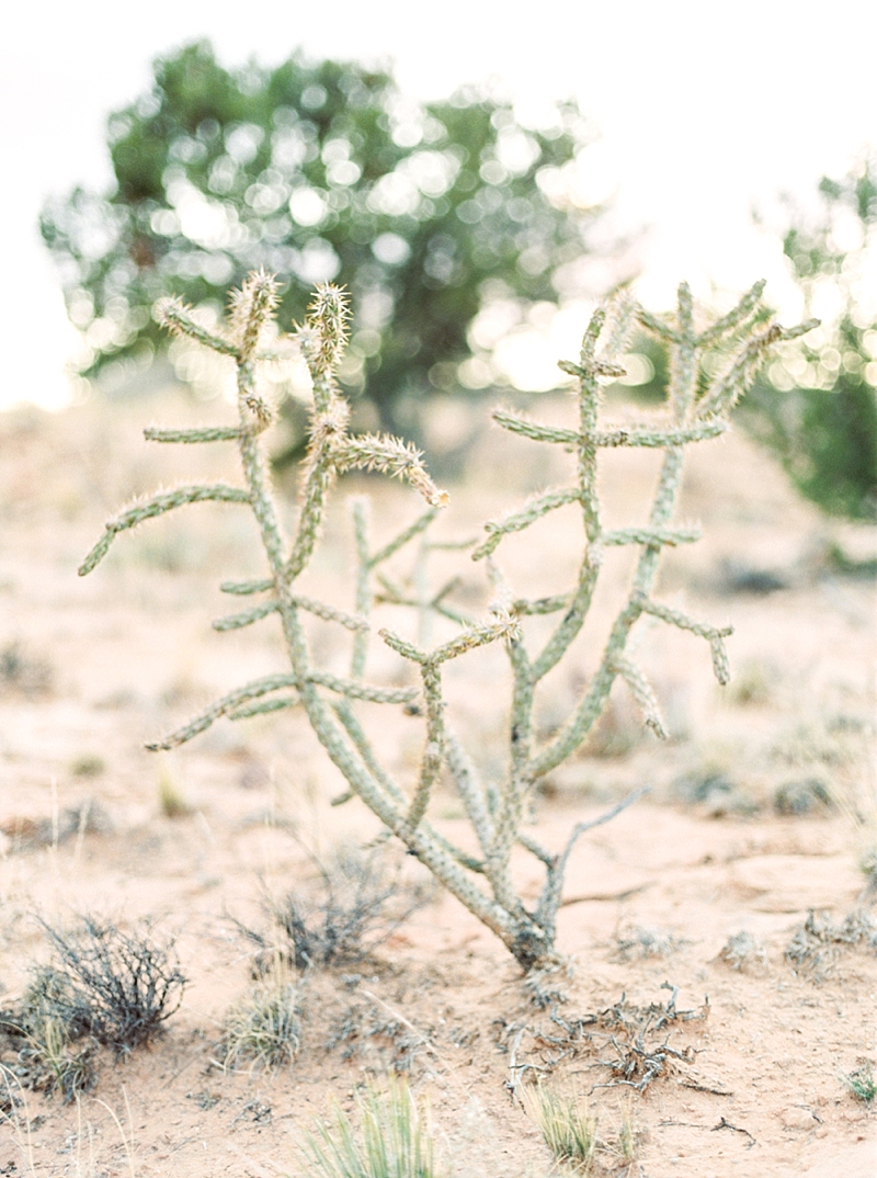  Callie Manion Photography, Dallas Film Wedding Photographer, Dallas TX Wedding Venues, Destination Film Wedding Photographer, DFW Film Wedding Photographer, DFW Wedding Photographer, Film, Fine Art Bride, Fine Art Wedding Photographer, Fuji400h, Houston Wedding Photographer, Houston Wedding Venues, Love, Park City Wedding Photographer, PhotoVision Prints, Salt Lake City Bride, Texas Wedding Photographer, Fine Art Wedding, Film Photography, Modern, Classic, Beautiful, Southern Utah Wedding Photographer, St. George Wedding Photographer, Moab Wedding Photographer, Desert Wedding Photographer, New Mexico Wedding Photographer, New Mexico, PhotoVision, Everly Alaine Florals, Teresa Romero, Fig & Flourish, Christine Elise Fine Jewelry, MTM Model Management, L’Amour Baking Co, New Mexico Wedding Photographer, Fine Art Wedding New Mexico