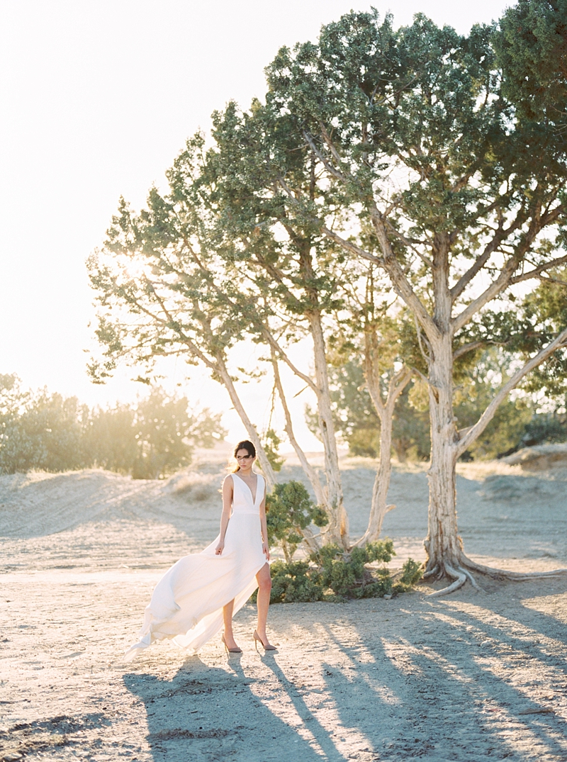 Callie Manion Photography, PhotoVision Prints, Fine Art Wedding, Fine Art Wedding Photography, Fine Art Bride, Fine Art Wedding Photographer, Bride, Film, Beauty, Love, Fuji400h, Film Photographer, Film Photography, Film Wedding Photographer, Dallas Film Wedding Photographer, Dallas TX Wedding Venues, Destination Film Wedding Photographer, DFW Film Wedding Photographer, DFW Wedding Photographer, Texas Wedding, Texas Photographer, Desert Wedding, Desert, Query Events, Alexandra Grecco, Brynn Thomas Makeup, Jackqueline Vare, Niya Models, Golden Greys, Latavola Linen