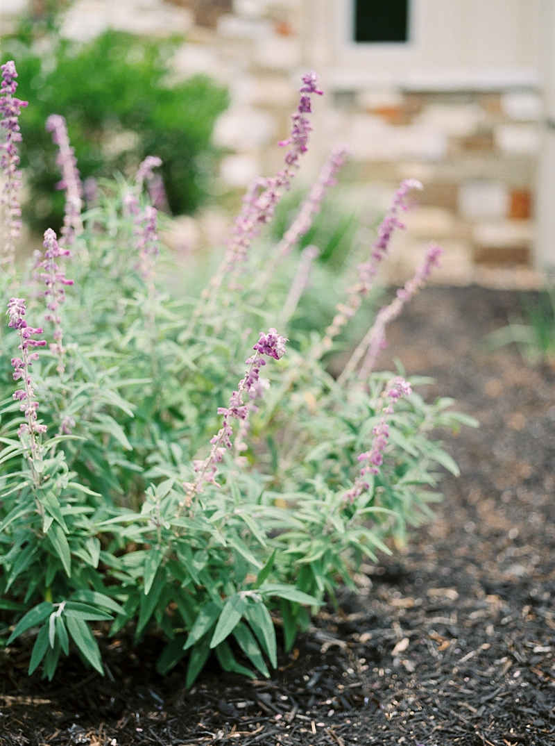 Austin, Texas Fine Art Wedding Photographer, Desert Wedding, Cactus Wedding, Dallas Wedding Photographer, Pastel Spring Wedding | Callie Manion Photography | www.calliemanionphotography.com