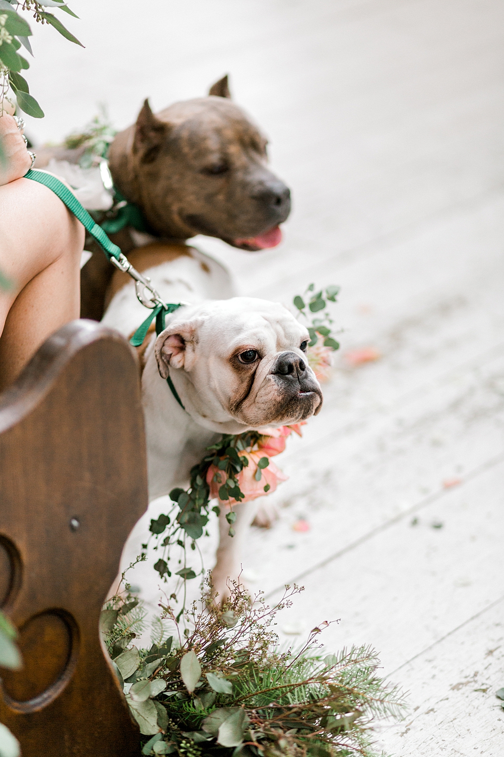 Dallas/Fort Worth Fine Art Film Wedding Photographer, The White Sparrow Barn Wedding, New Years Eve Wedding, Winter Wedding | Callie Manion Photography | www.calliemanionphotography.com