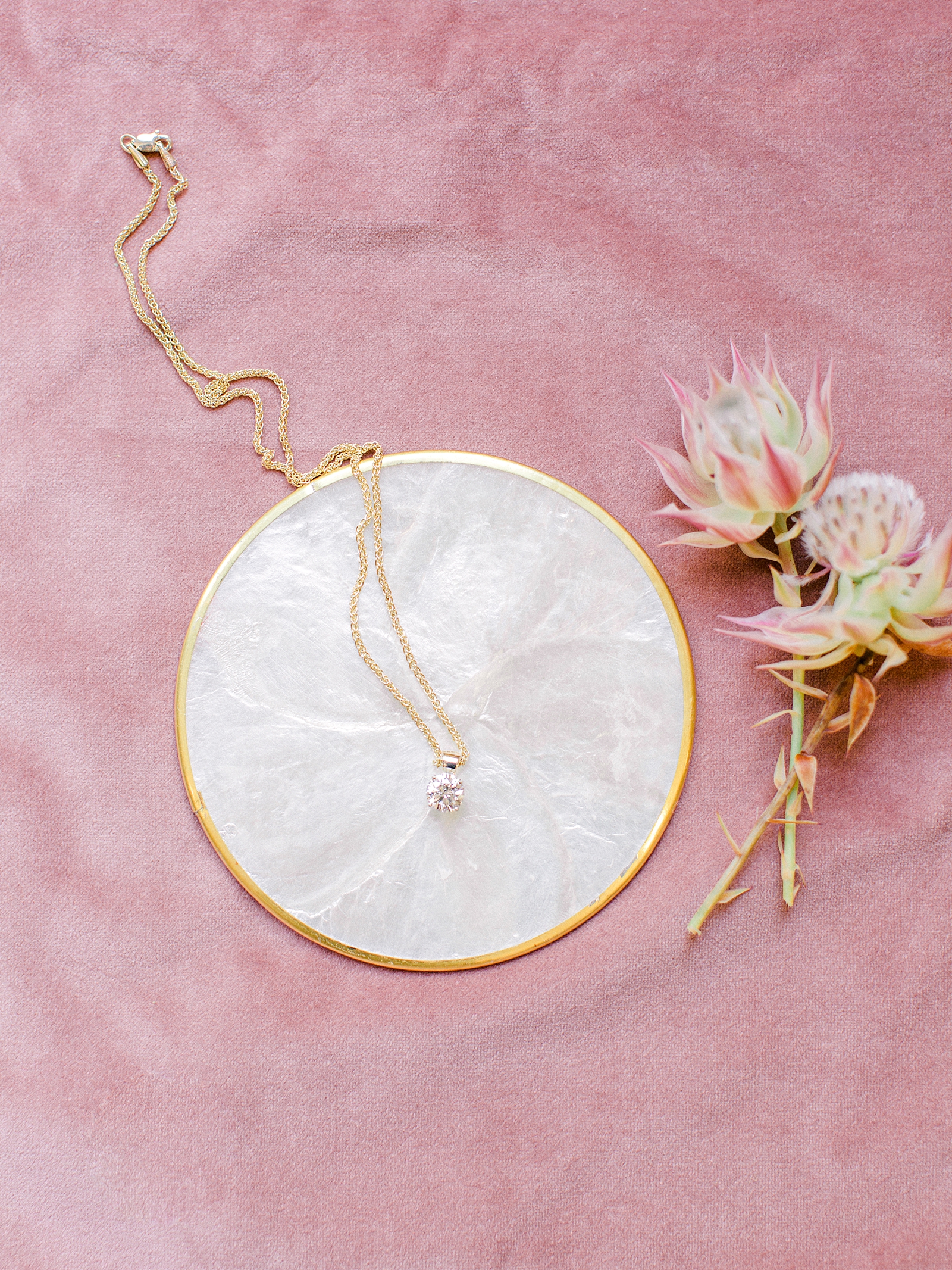 Callie Manion Photography || www.calliemanionphotography.com || Philadelphia PA Film Wedding Photographer, NYC Wedding Photographer, CT Wedding Photographer, New Jersey Weddding Photographer, New England Wedding Photographer