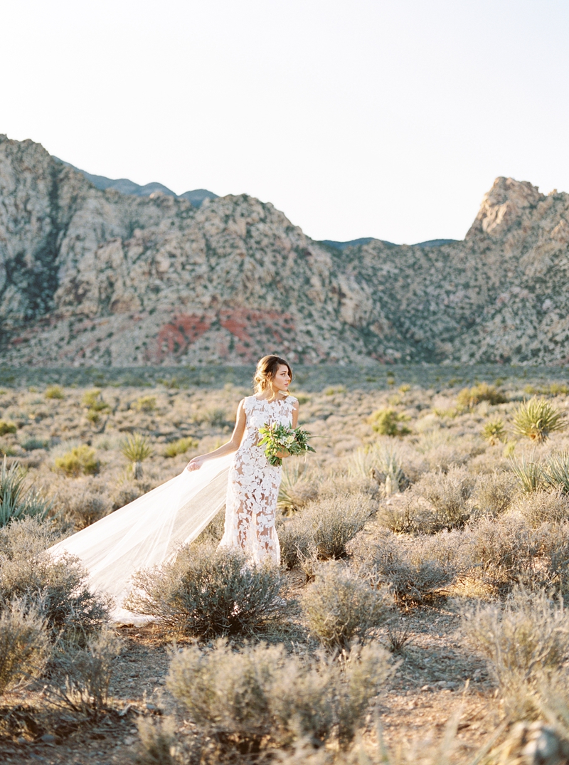 Red Rock Editorial Shoot | Las Vegas Wedding Photographer » Callie ...